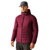 Regatta Men's Asper Padded Jacket