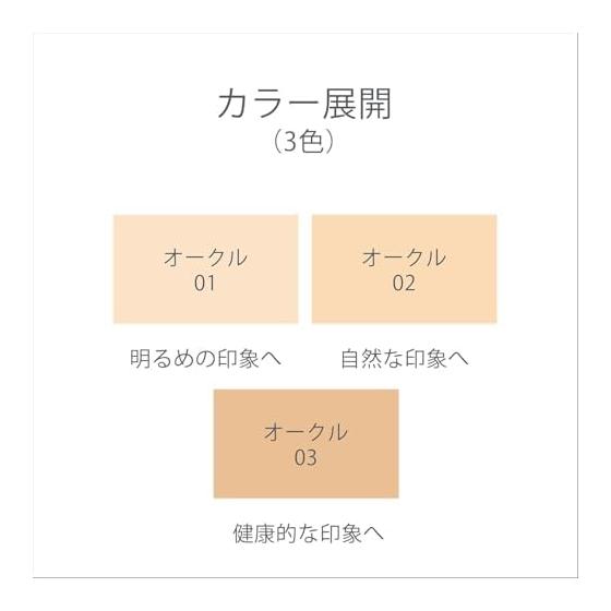 EX:BEAUTE Premium Vision Foundation N (Ocher 02)