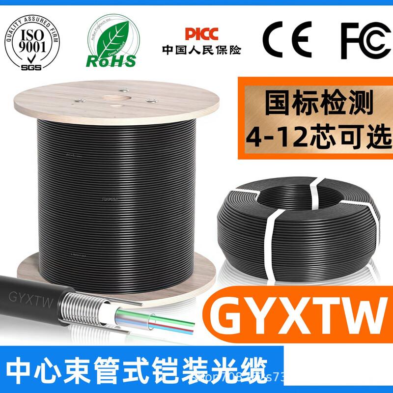 

Kangzhaolong GYXTW Outdoor Armored Single-Mode Fiber Cable 100m