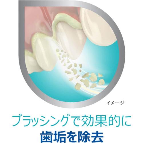 Dental Labo Medicated Toothpaste for Periodontal Disease (Gingivitis and Pyorrhea), 100g x 2-Pack