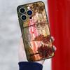 Egon Schiele Kunst Handyhülle Für iPhone 16 Pro 15 Pro 12 13 Mini 11 14 Pro Max XR 16 15 Plus 16e Hülle Coque