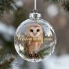 Christmas Ornament Christmas Tree Bird Spherical Decorative Pendant Snowflake Ornament Holiday Tree Decoration