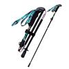 Robinson Carbon Fiber Foldable Trekking Pole