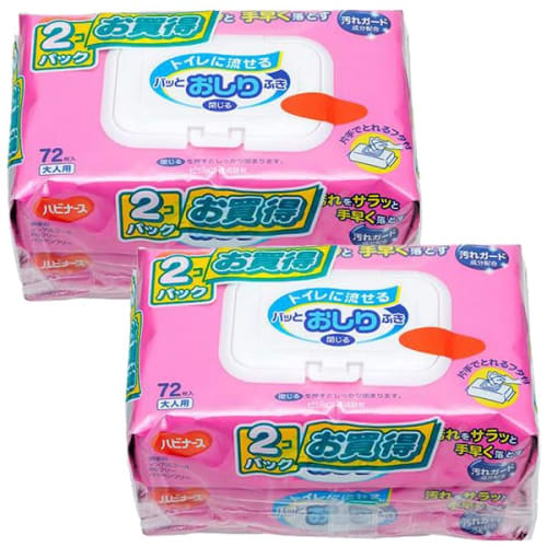 Set of 4: Habinurse Flushable Baby Wipes, 180 X 190 Mm, Soft and Thick, 72 Sheets X 4 Packs (288 Wipes) with Lids, Anniversarich, Includes a Small Gif