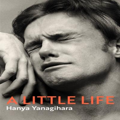 A Little Life by Hanya Yanagihara Hardback Book 9781529061246