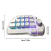 17 Key Hot Swappable Mechanical Number Pad with VIA Programmability USB wireds Connection and RGBs Backlit PBT Keycaps for Laptop PC