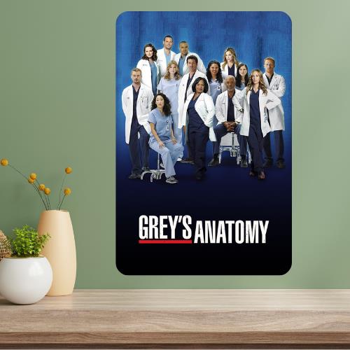 Greyaposs Anatomy TV Show Metal Poster Sign