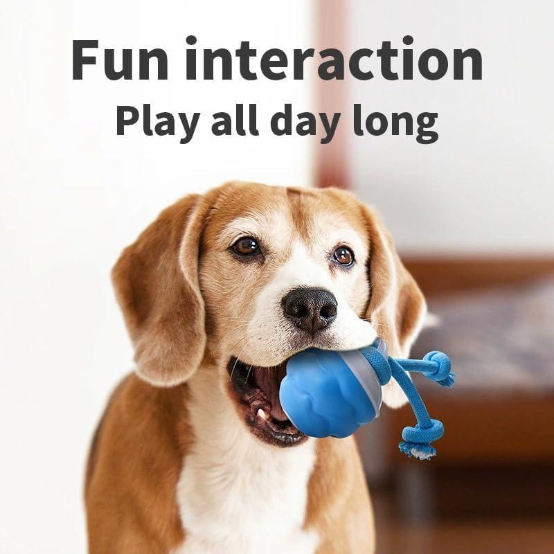 Bite-Resistant Electric Toy Ball For Dogs Automatic Bouncing Led Lighting Electric Jumping Ball Interactive Dog Ball