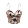 Corsets, roupas femininas elegantes e da moda