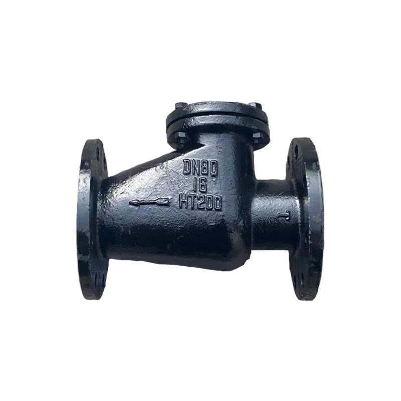 DN80 Cast Iron Swing Check Valve with Copper Core