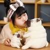 Creative cute pug doll plush toy puppy dog starling dog doll children soothing pillow rag doll