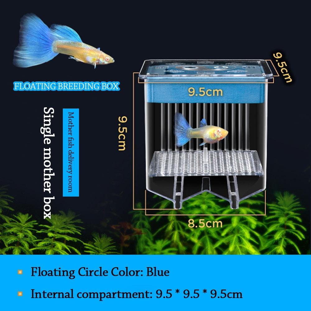 

Square Aquarium Breeder Feeder Clear Frame Floating Hatching Box Aquarium Hatchery Accessory Style1-Blue