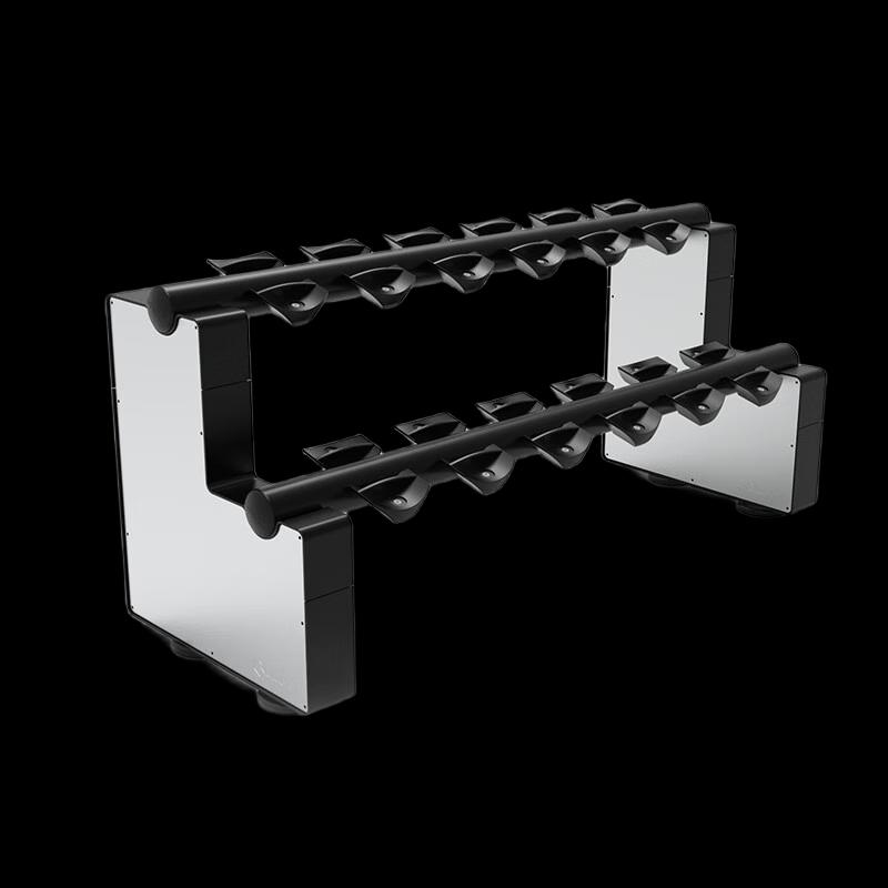 WEZHO Double-Layer Dumbbell Storage Rack