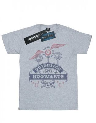 Boys Quidditch At Hogwarts T-Shirt