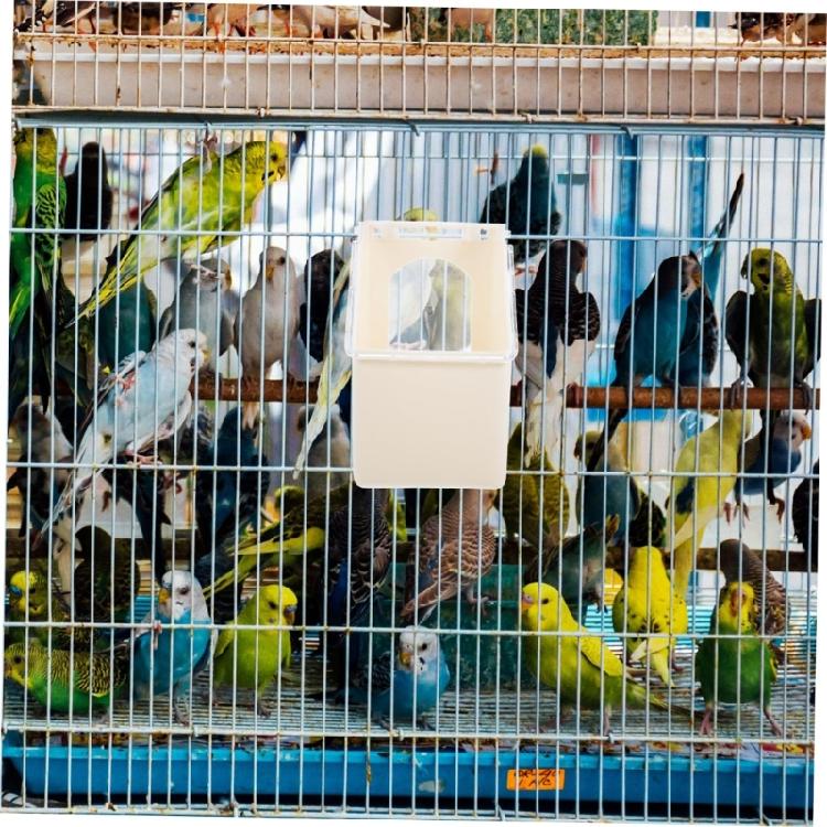 Practical Durable Plastic Hanging Pigeons Feeders for Bird Cages Easyly Installation Clean and Refill Space