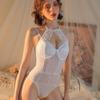 Sexy 2025 New Hanging Neck Lace Up Backless Hollow Out Lace Mesh Sheer Bodysuits Women Cinching Waist Slim Bodysuits 