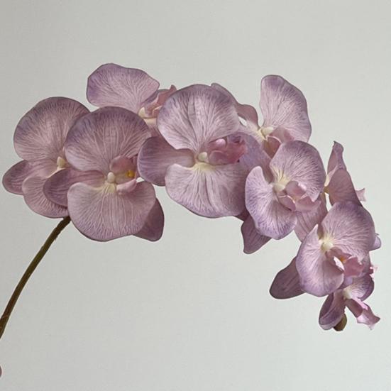 Konstgjorda Phalaenopsis-blommor 10-huvudiga stjälkar 3D-utskrift Realistiska konstgjorda orkidéer för vardagsrum, bröllopsfest, bordsdekoration