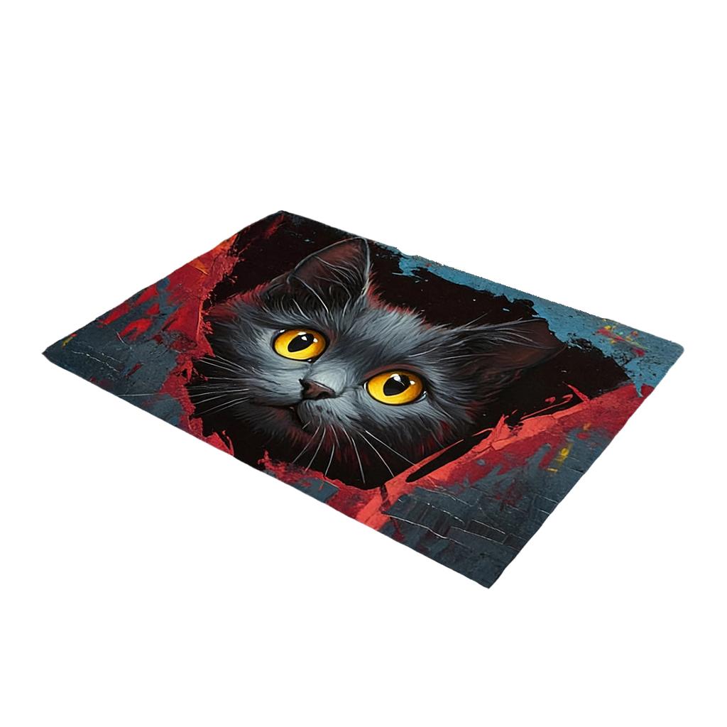Entry Into Entrance Hall Resistant To Dirtiness Floor Mat