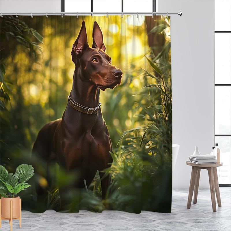 Alert Doberman Shower Curtain Muscular Dog Glossy Fur Sunlit Nature Polyester with 12 Hooks Machine Washable Bathroom Decor