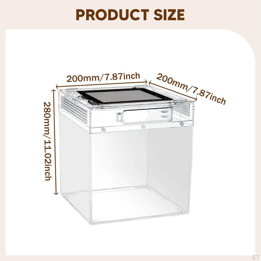 Uppfödnings-terrarium för reptiler, Transparent reptillåda, Behållare Grodor, Drakar, Tusenfotingar,