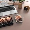 AJAZZ Wireless Numeric Keypad Compact Keyboard Hand Mini Keyboard 18 Keys Colorful Gradient Removable Keycaps Silicone Cover Cute Bear Design