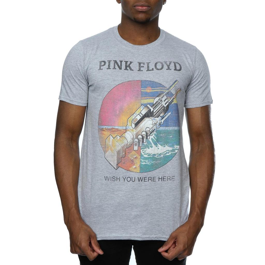 Pink Floyd Mens Wish You Were Here Heather T-Shirt