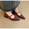 Retro Style Thick Heel Women Mary Jane Shoes Fashion Pointed Toe Ladies Lolita Shoes Comfort Office Pumps Footwear Women Loafers