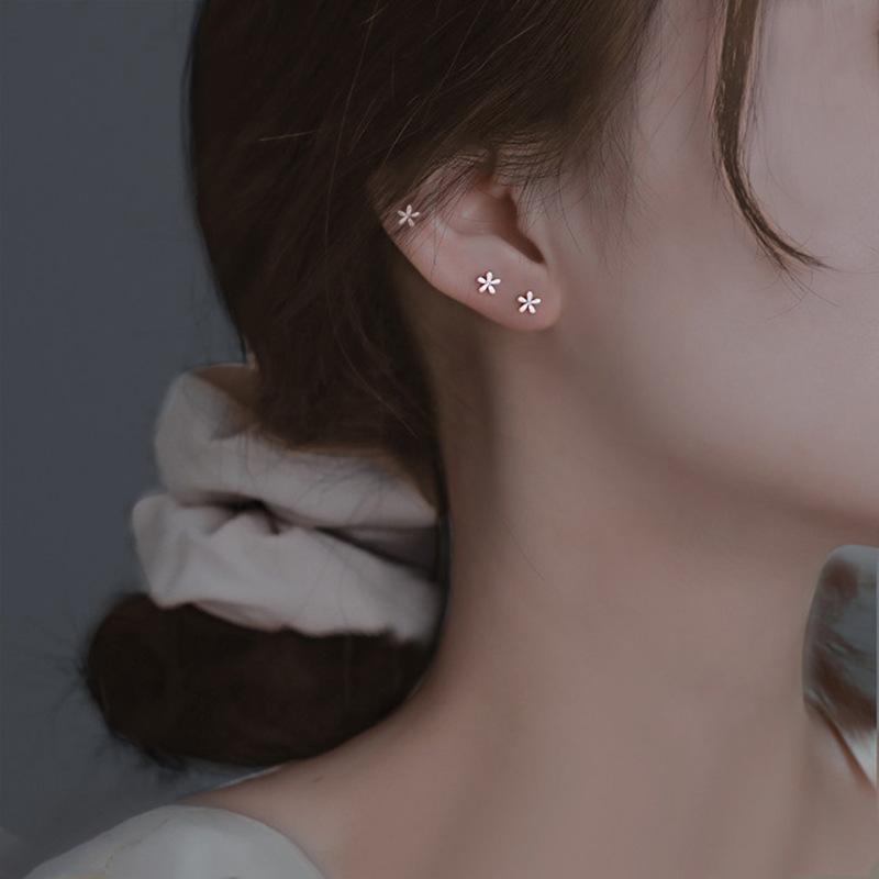 Earrings for Women Are Small and High-end Earrings, New Trendy Earrings, Ear Holes, No Need To Pick Them Up When Sleeping.