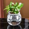 1PC Fish Tank Hydroponic Flower Pot Soilless Plant Pot Hydroponic Vase Vase Planter Pot Plastic