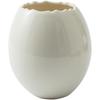 Bird Eggshell Serving Bowl Glossy Ceramic Decoration Bowl for Salad Fruit Display and Home Table Styling Use