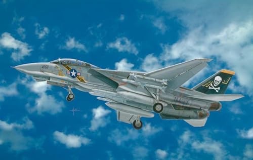 2667 1/48 Grumman F-14A Tomcat