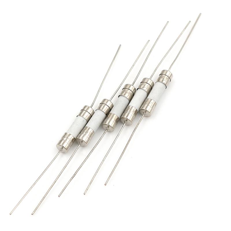 5 Pcs 10A 250V Ceramic Body Axial Lead Fuse For Lcd-Tv Etc 5*20Mm