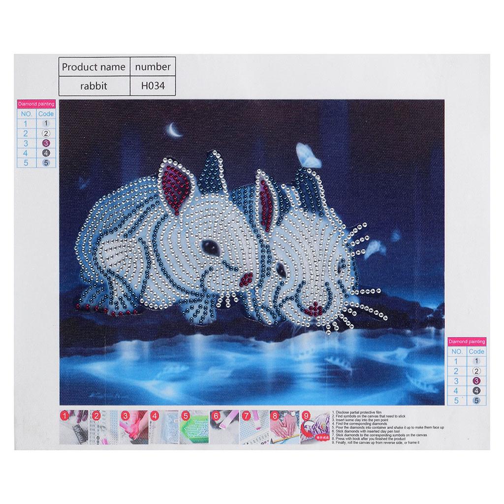 DIY 5D Partial Drill Cross Stitch Kits Crystal Rhin Fluorescent Diamond ...