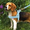Personalized Nylon Dog Harness No Pull Pet Dog Harness Vest Free Engraved For Medium Large Dogs Walking Training Pet Supplies