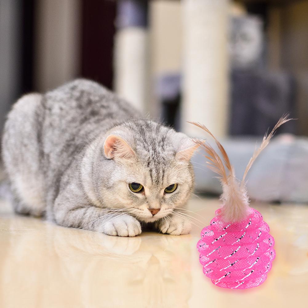 round cat toy