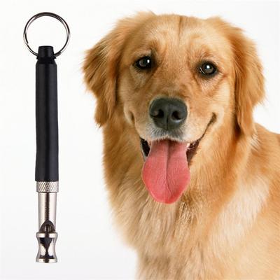 Köpek – Eğitim ve Öğretim Araçları