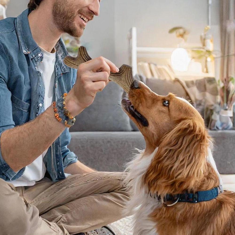 Creative Puppy Molar Toys Bone Shape Dog Interactive Toys Portable Dog Chew Stick  Pet Dental Care