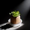 Plastic Flower Pot Tray With Pet Material And Dustproof Design For Garden And Home Use