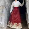Chiński styl dynastii Ming Drukowany Hanfu spódnica koński pysk Hanfu damski strój do codziennych dojazdów