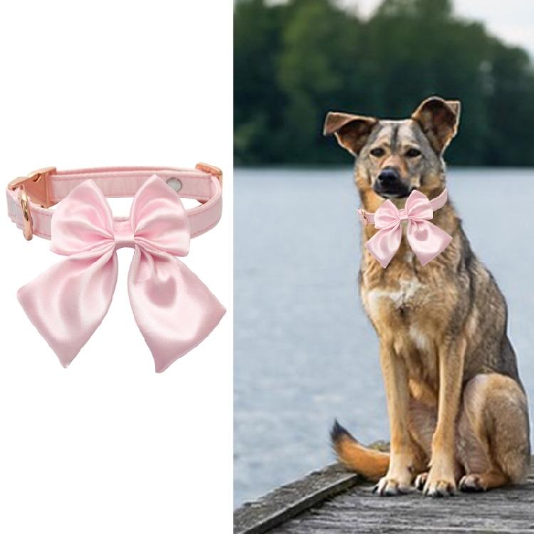 Adjustable Pet Collar for Small,Medium, Large Dogs and Cats Dog Chain Collars