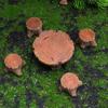 Amosfun Miniature Stump Table and Chair Miniature Model Chair Decorative Mini House Interior Garden Outdoor Resin Set, Figurine, Ornament,