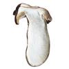 Yunnan Specialty Dried Boletus Slices - Fresh and Delicious Raw Ingredients