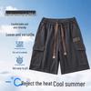 Men's Plus Size Summer Casual Sports Shorts