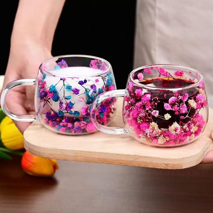 Doppellagiger Glasbecher mit konservierter Blume - Hitzebeständiger Borosilikatglasbecher für Kaffee oder Milch.