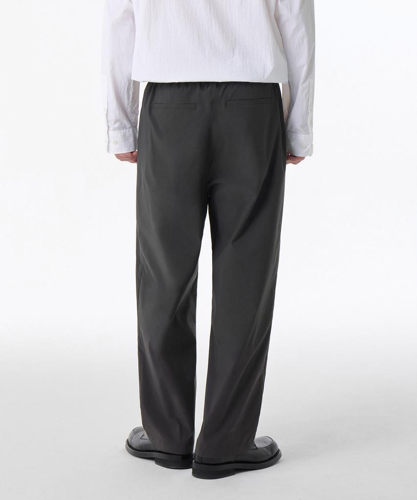 Musinsa Standard Solotex One-Pleat Wide Comfort Elastic Waist Pants [Gray]