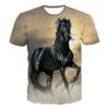 Summer hot selling trend cute 3D printed animal horse print pattern personalized casual comfortable T-shirt