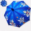 Digital Printing Children's Animation Cartoon Primary School Students Heat Transfer, Waterproof Cover Non-dripping Cover Children's Umbrella