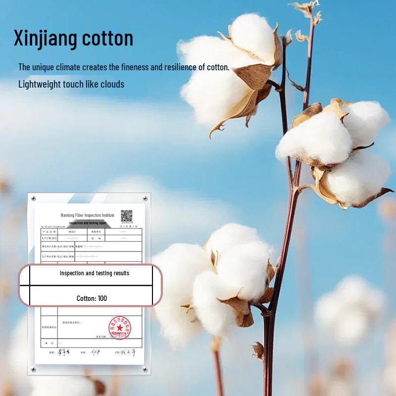 Muji 100% Xinjiang Cotton Summer Quilt