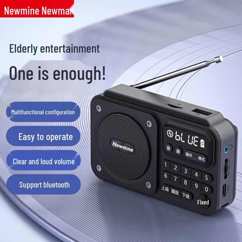 Newmine N123 Portable Radio for Seniors CN plug (adapter included)