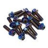 14 pièces Boulons hexagonaux M6 colorés en alliage de titane pour moto Clips de fixation Vis 1996-2023